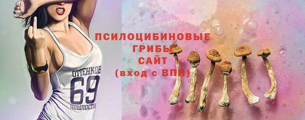 spice Володарск