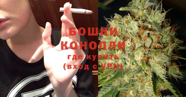 бошки Долгопрудный