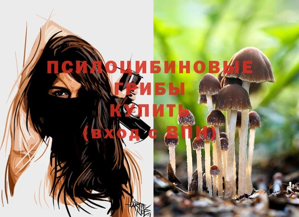 2c-b Орехово-Зуево