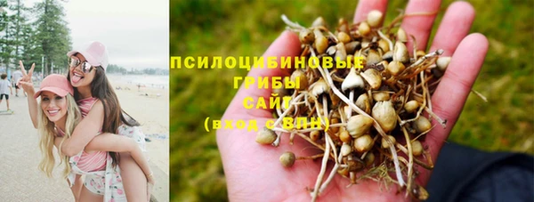 mdpv Артём