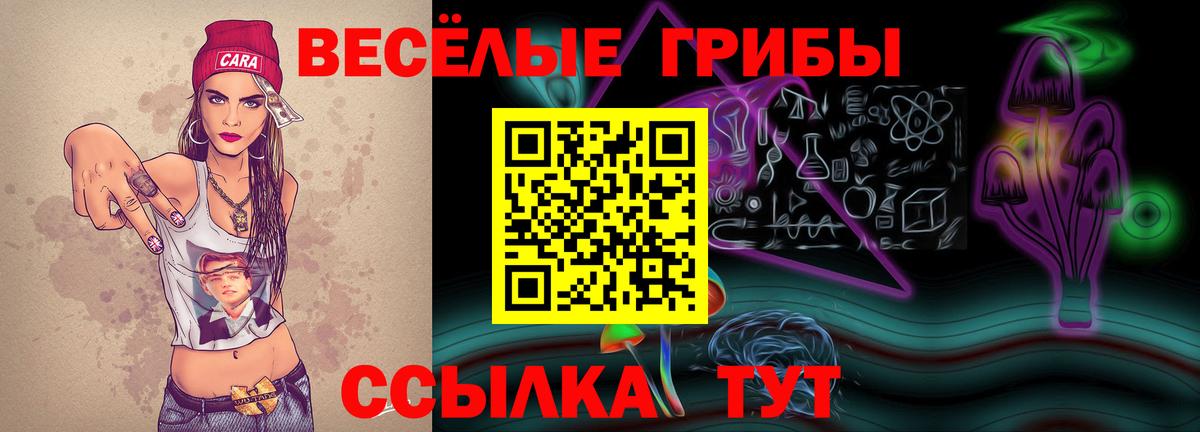 Псилоцибиновые грибы Magic Shrooms Донской