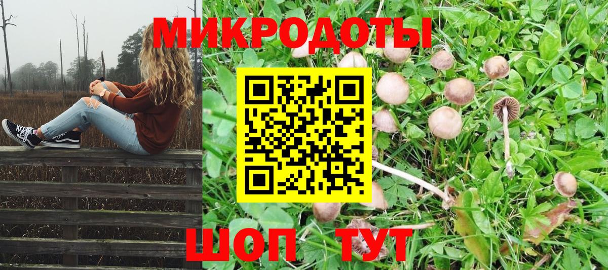 Галлюциногенные грибы мухоморы Донской